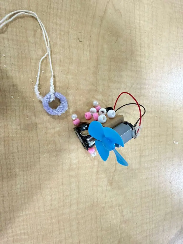 SAHA STEM Club — Day 10, photo 4