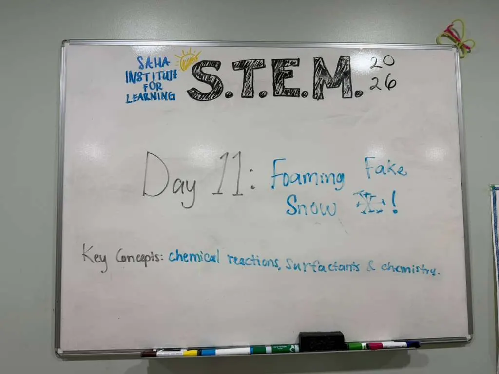 SAHA STEM Club — Day 11, photo 1