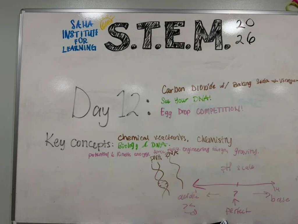SAHA STEM Club — Day 12, photo 1