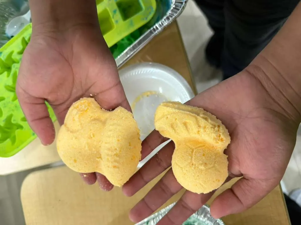 SAHA STEM Club — Day 13, photo 3